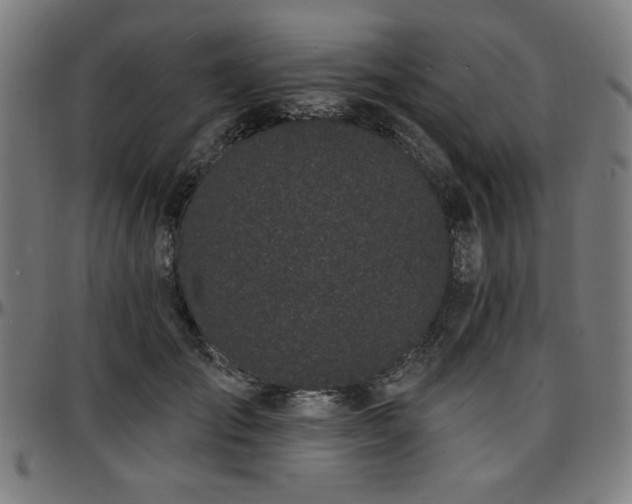 X0000097590701200802291219