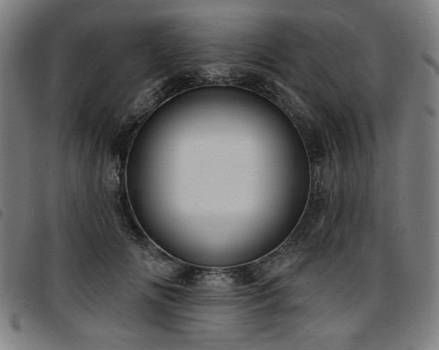 X0000097590702200802291219