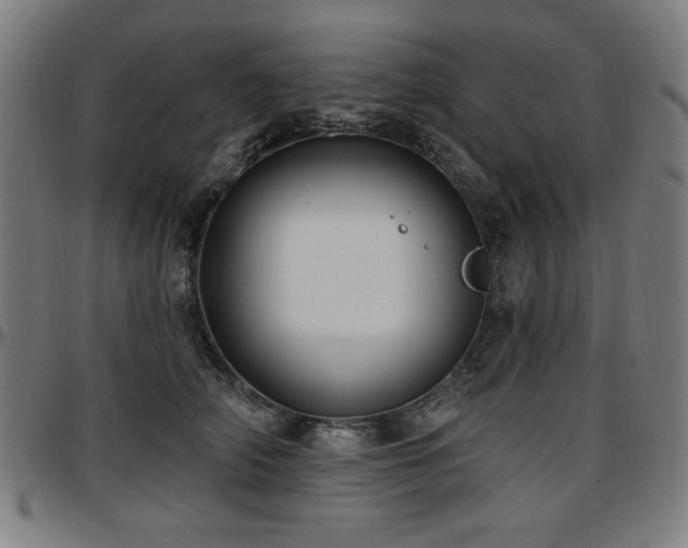 X0000097590706200802291219