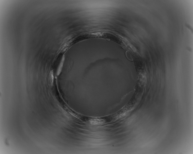 X0000097590707200802291219