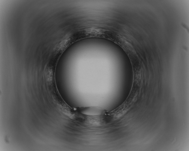 X0000097590708200802291219