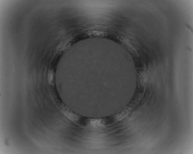 X0000097590709200802291219