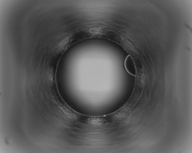 X0000097590710200802291219