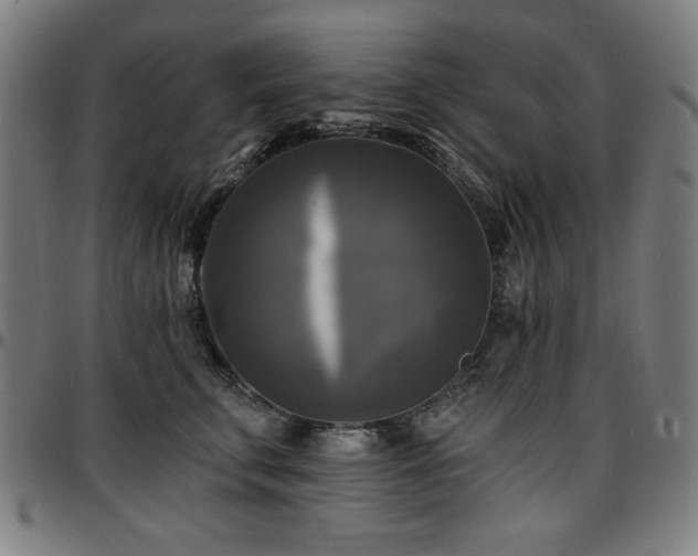 X0000097590711200802291219
