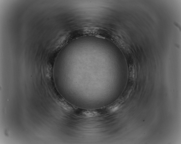 X0000097590712200802291219