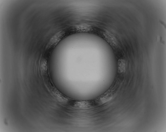 X0000097590713200802291219