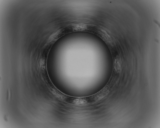 X0000097590714200802291219