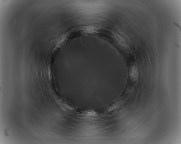 X0000097590715200802291219