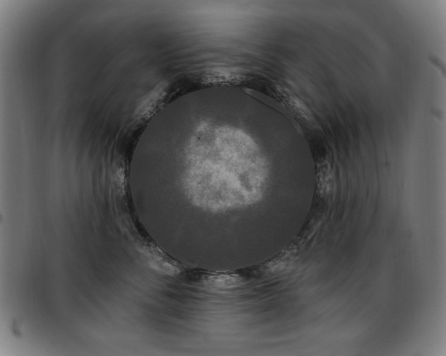 X0000097590716200802291219