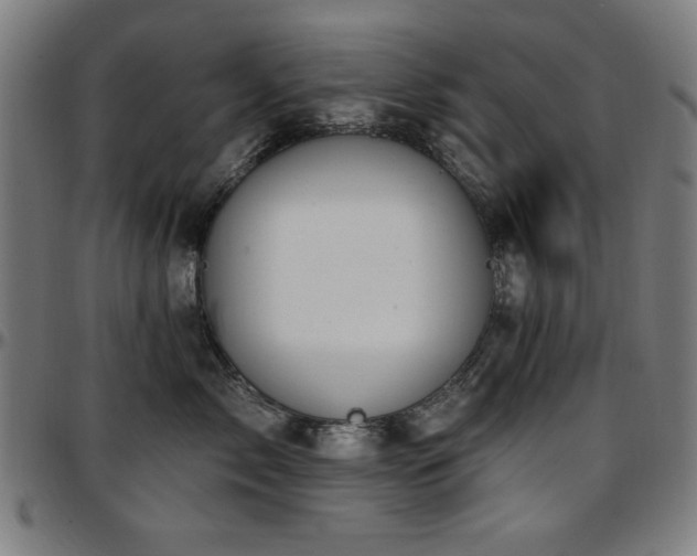 X0000097590717200802291219