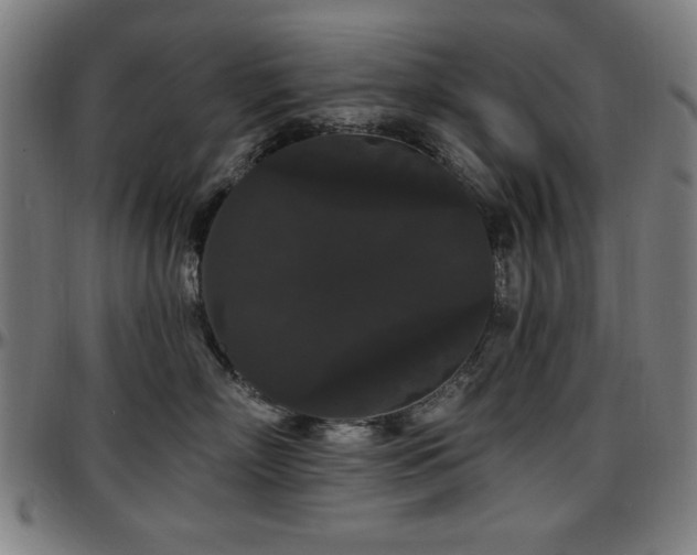 X0000097590718200802291219