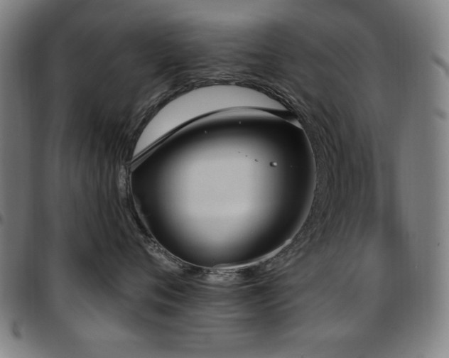 X0000097590720200802291219