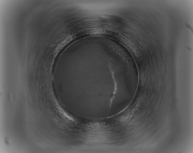 X0000097590721200802291218