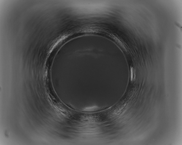 X0000097590723200802291218