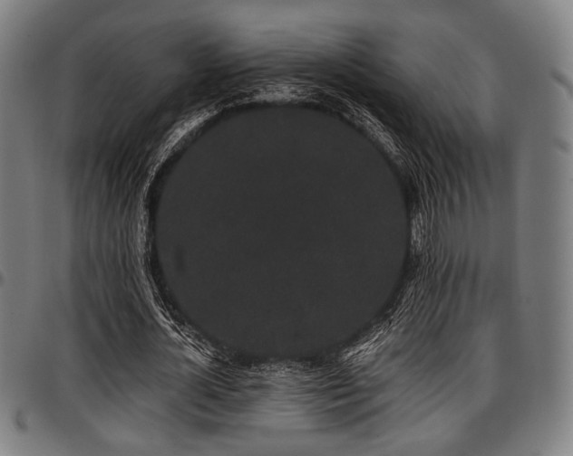 X0000097590724200802291218