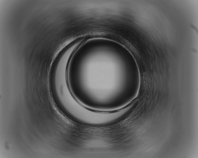 X0000097590726200802291218