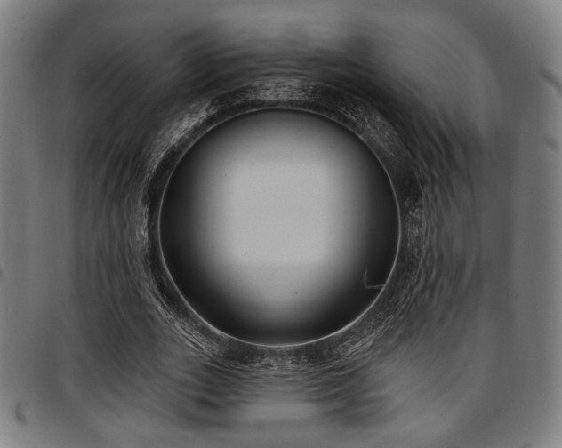 X0000097590727200802291218