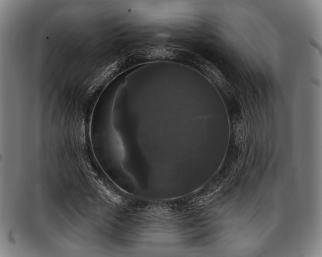 X0000097590729200802291218