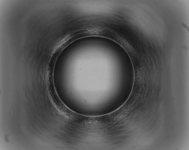 X0000097590730200802291218