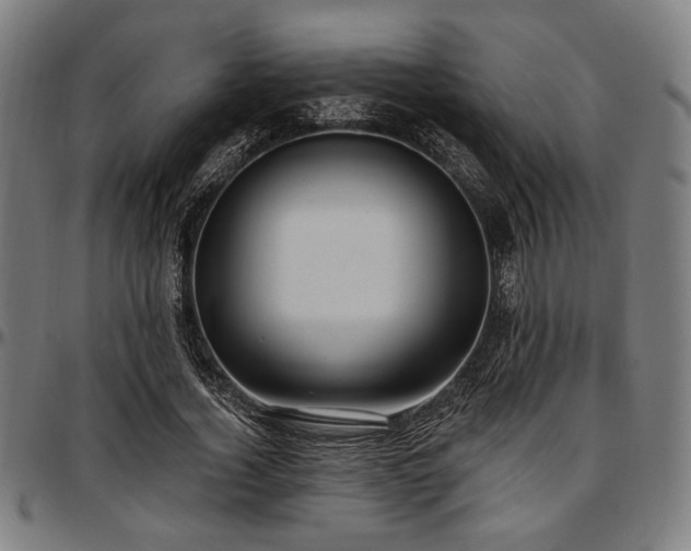 X0000097590732200802291218