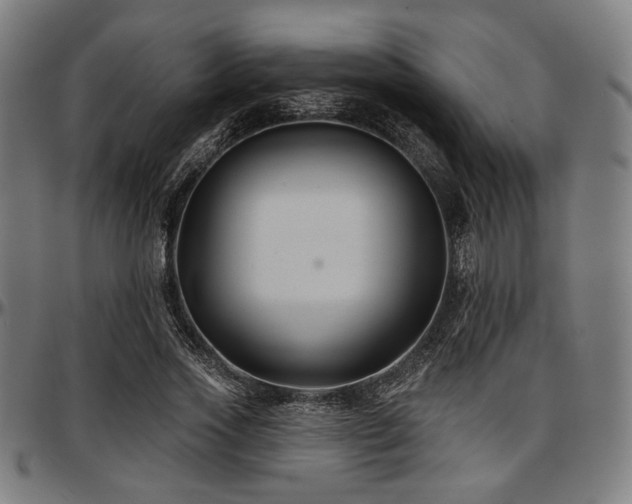 X0000097590733200802291218