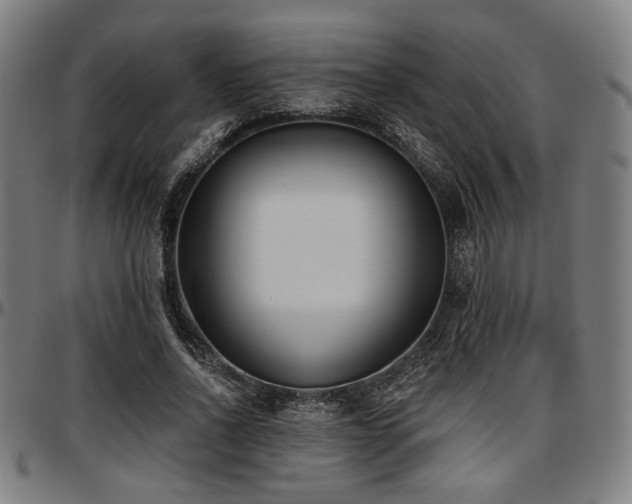X0000097590734200802291218