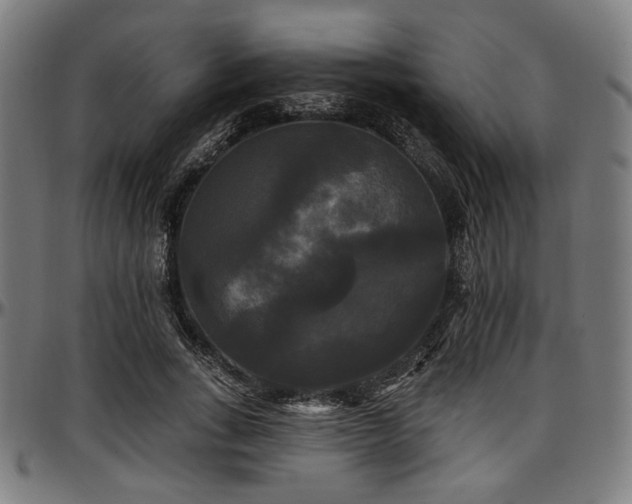 X0000097590735200802291218
