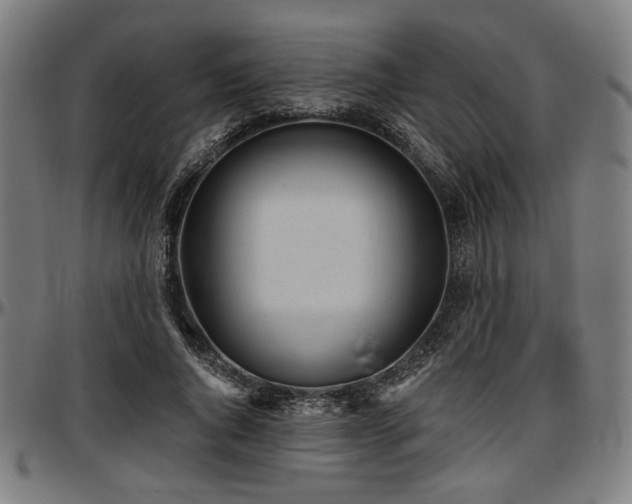 X0000097590736200802291218