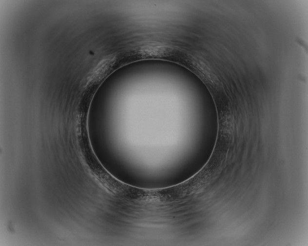 X0000097590738200802291218