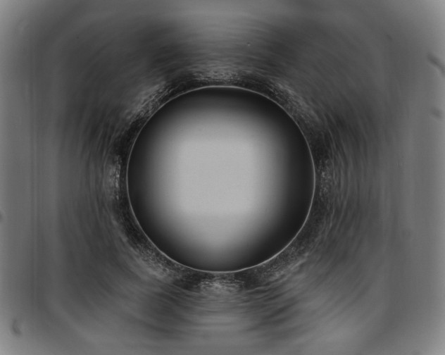 X0000097590739200802291218