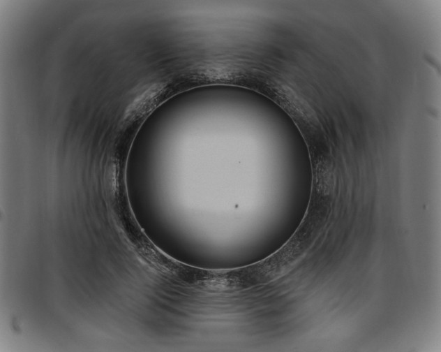 X0000097590740200802291218