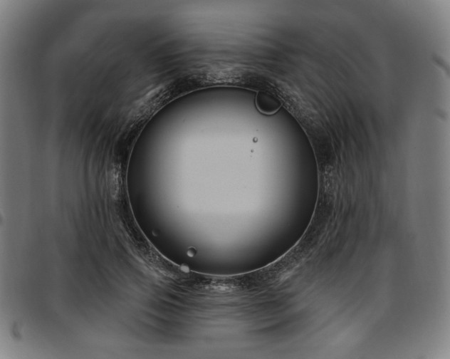 X0000097590741200802291218