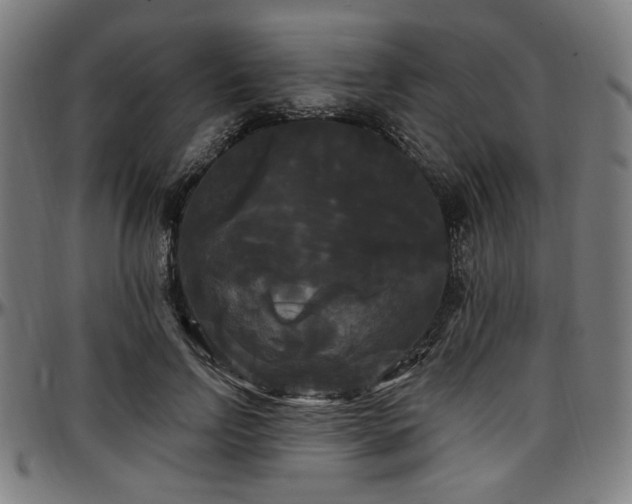 X0000097590742200802291218