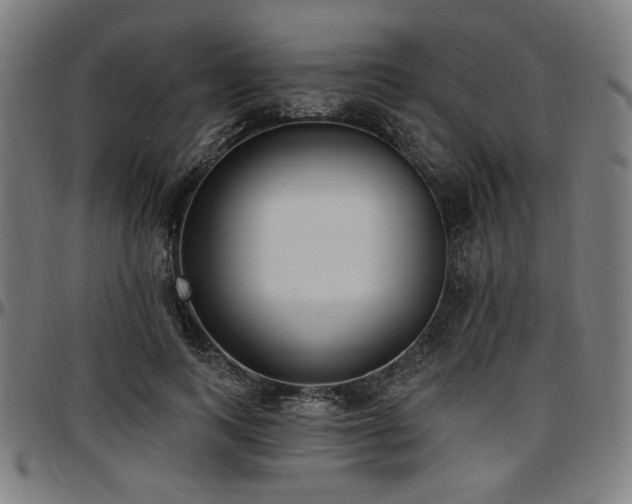 X0000097590743200802291218