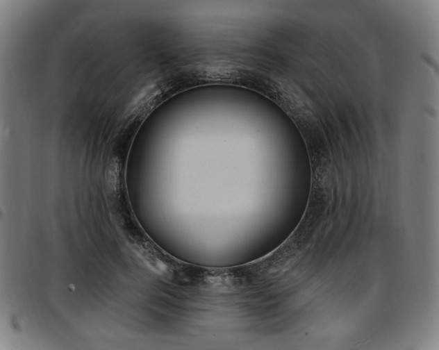 X0000097590744200802291218