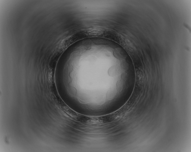X0000097590745200802291218