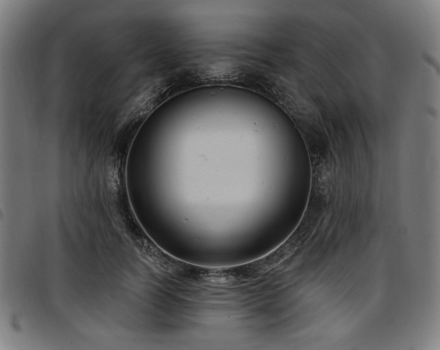 X0000097590746200802291218