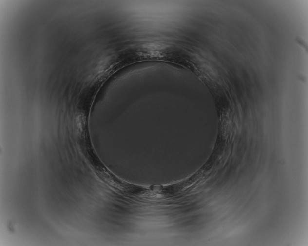 X0000097590747200802291218