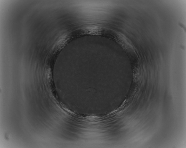 X0000097590748200802291218