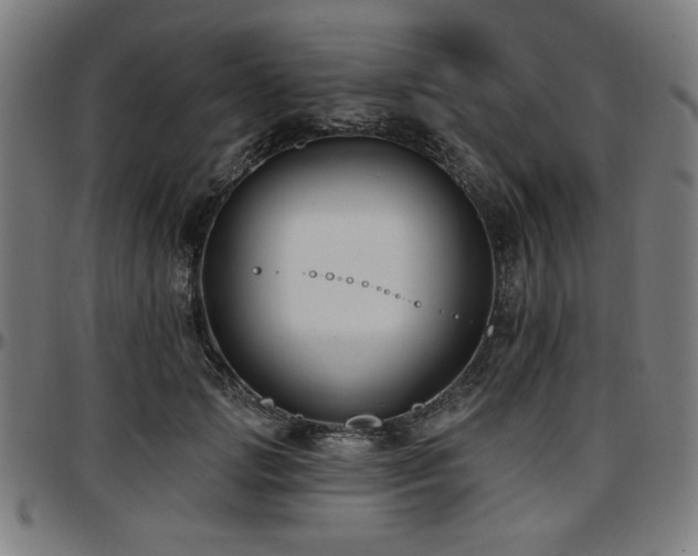 X0000097590749200802291218
