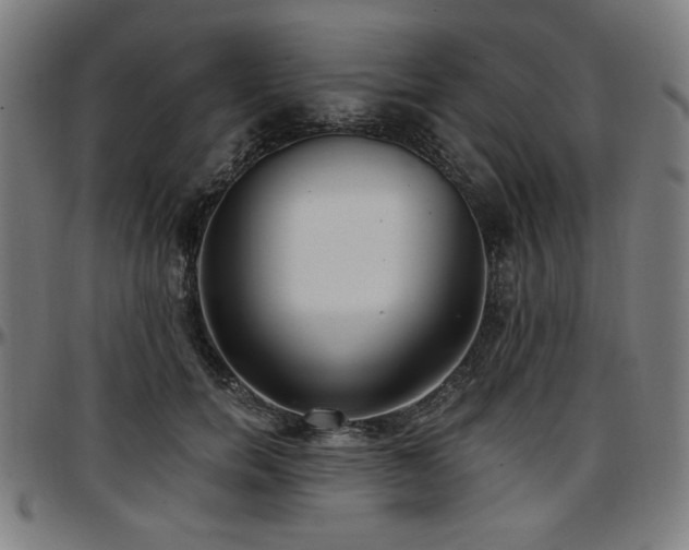 X0000097590750200802291218