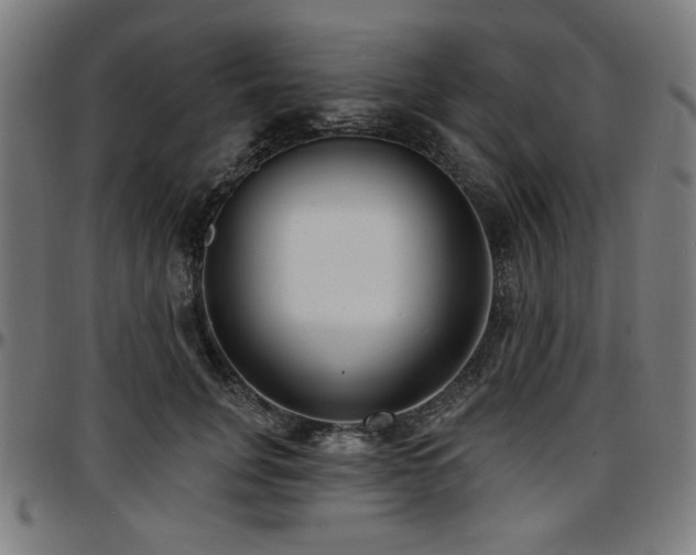 X0000097590751200802291218