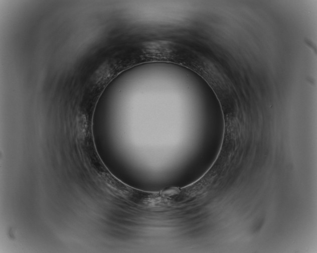 X0000097590752200802291219