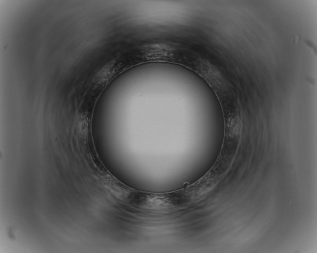 X0000097590753200802291219