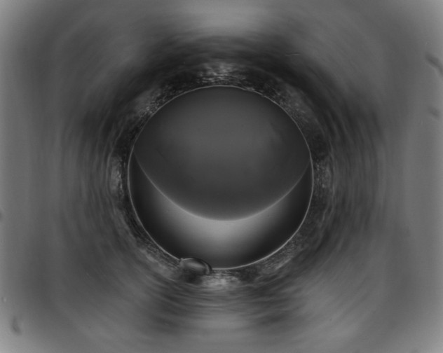 X0000097590754200802291219