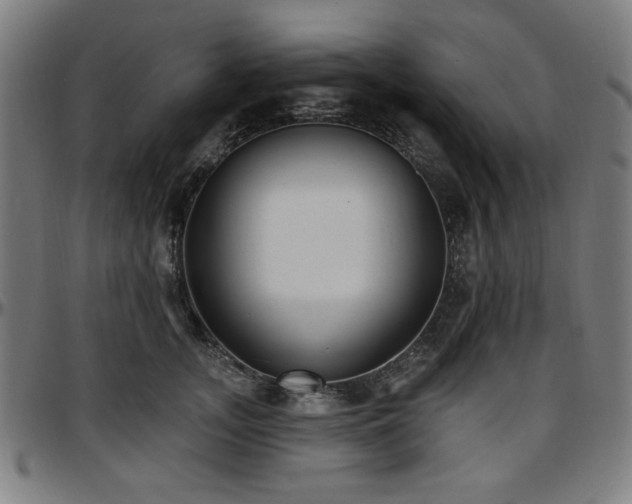 X0000097590755200802291219