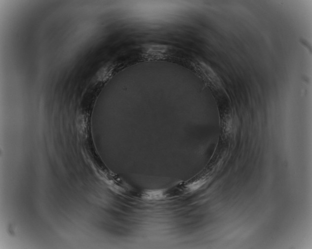 X0000097590759200802291219