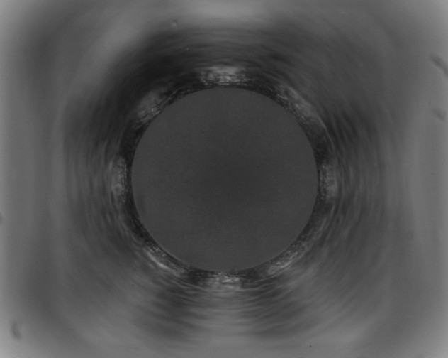 X0000097590760200802291219