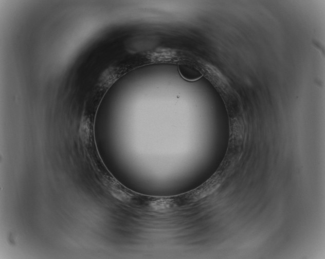X0000097590761200802291219