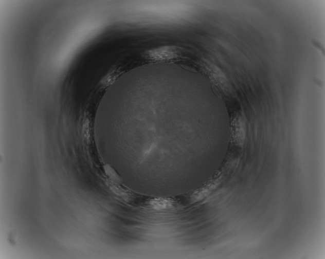X0000097590762200802291219